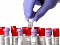 /album/ibop-laboratorio-/images-6-jpg1/